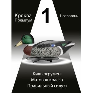 Чучела уток Кряква «Премиум», селезень, 1 шт.