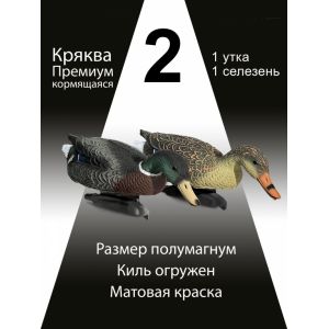 Чучела Кряква «Премиум», кормящиеся 2 шт