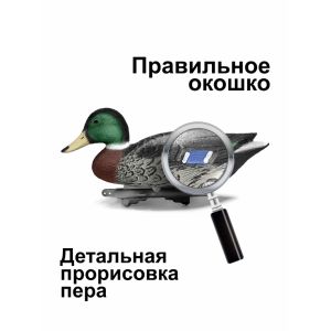Чучела кряквы «Премиум» — утка и селезень