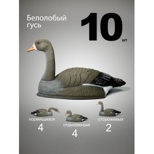 Чучела гусей Белолобый гусь, 10 шт. (4+4+2)