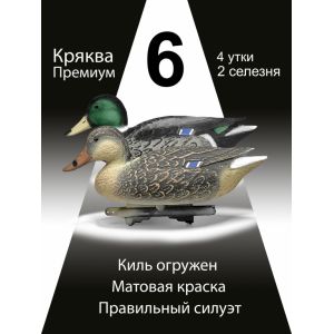 Чучела уток Кряква «Премиум», 6 шт.