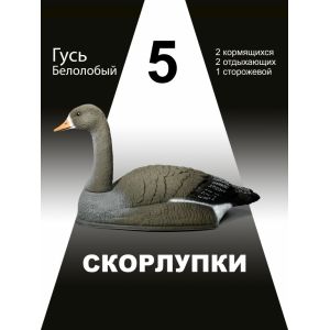 Чучела гусей Белолобый гусь, 5 шт.