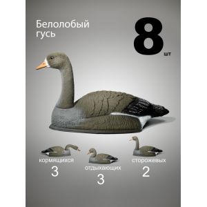 Чучела гусей Белолобый гусь, 8 шт. (3+3+2)