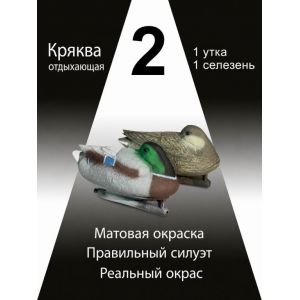 Чучела уток Кряква отдыхающие 2 шт
