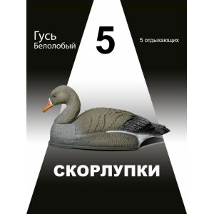 Чучела гусей Белолобый гусь, 5 отдыхающих