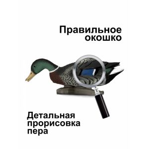 Кормящееся чучело кряквы «Премиум» — селезень