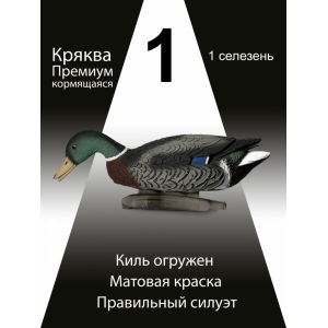 Чучела уток Кряква «Премиум», кормящийся селезень