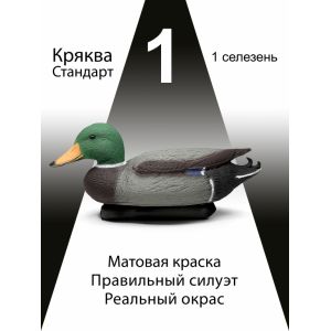 Чучела уток Кряква «Стандарт», селезень, 1 шт.